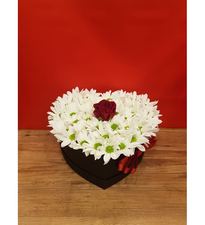 Canlı Papatya Ve Gül Kutusu