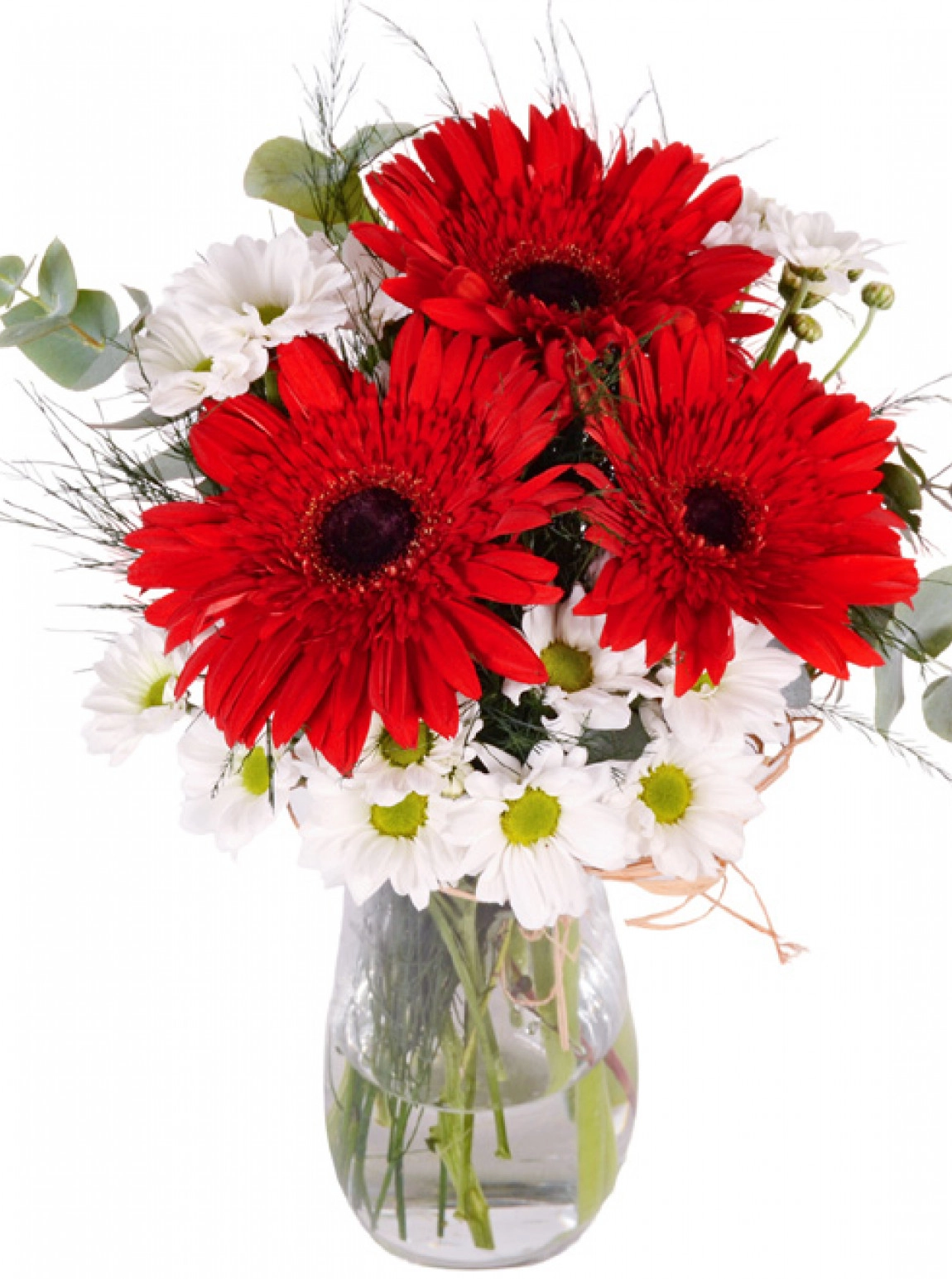 Kırmızı Gerbera Ve Papatya Vazosu