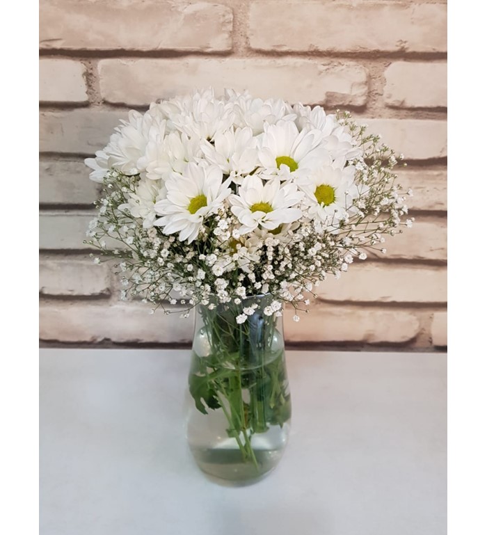 Papatya Bahçesi Paşabahçe Vazoda