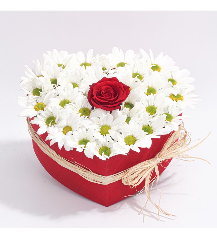 Sevgililer Günü Özel Papatya Ve Gül Kutusu