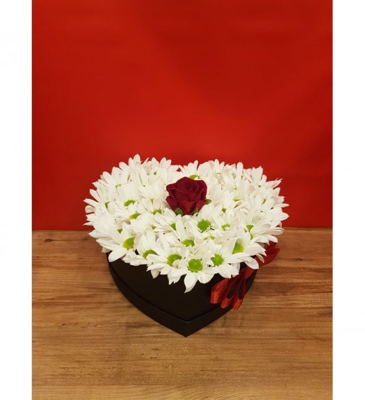 Canlı Papatya Ve Gül Kutusu