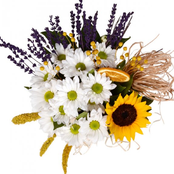 Seramik Saksıda Ayçiçeği Ve Beyaz Papatya