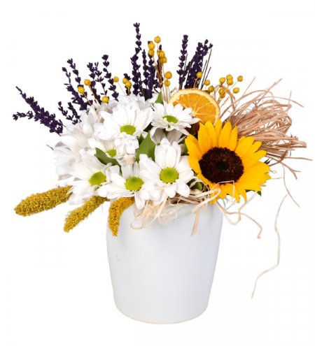 Seramik Saksıda Ayçiçeği Ve Beyaz Papatya