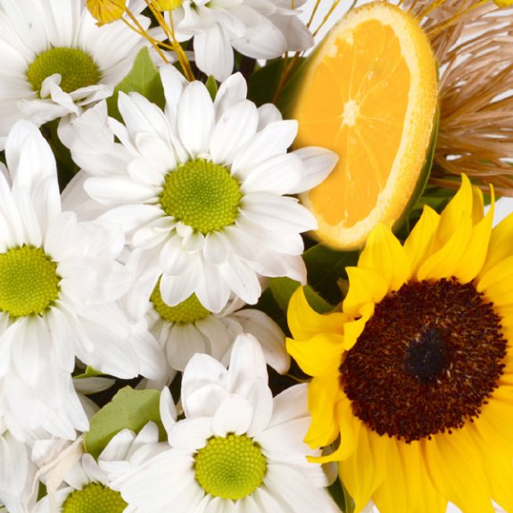 Seramik Saksıda Ayçiçeği Ve Beyaz Papatya