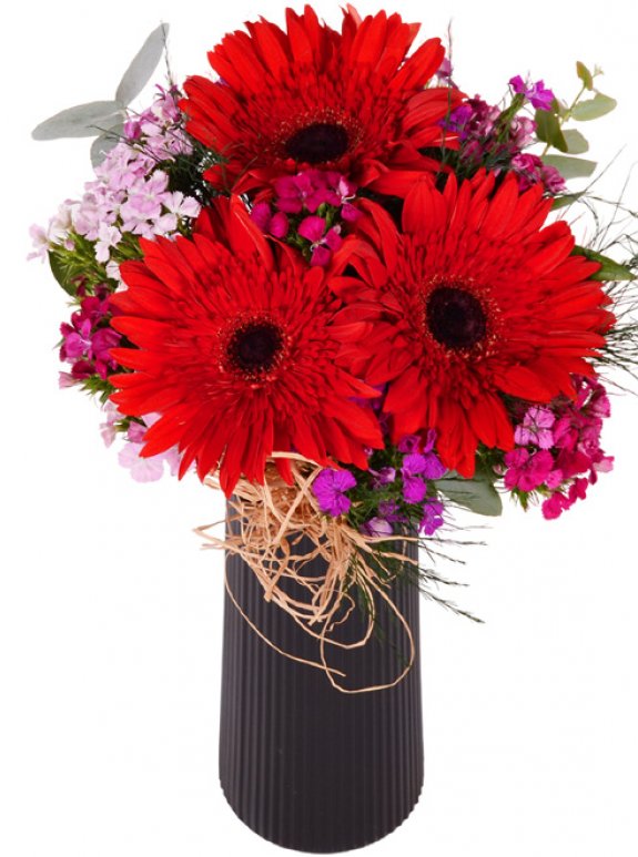 Siyah Vazoda Gerbera Hüsnü Yusuf  Arajmanı