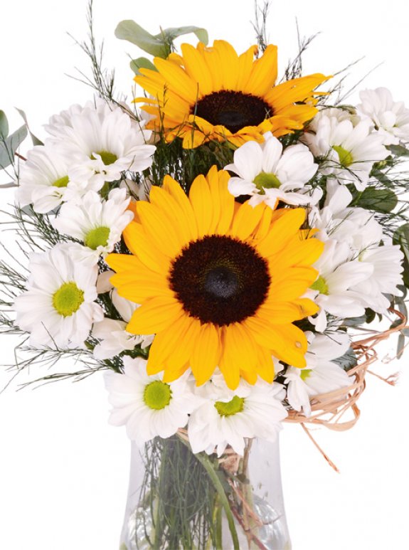 Vazoda Ayçiçeği Ve Papatyalar