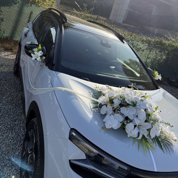 Yapay Model Gelin Arabası Setimiz