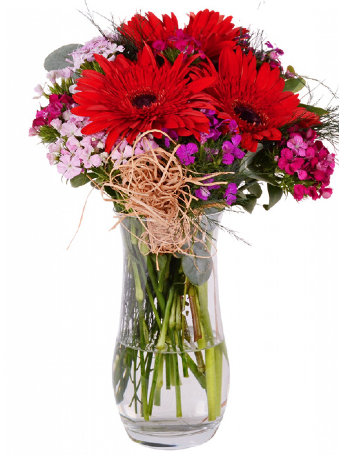 Vazoda Hüsnüyusuf Kırmızı Gerbera