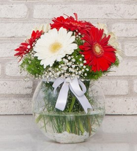 Gerbera Arajmanı Anneler Günü Özel