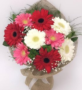 Renk Cünbüşü Gerbera Buketi Anneler Günü Özel